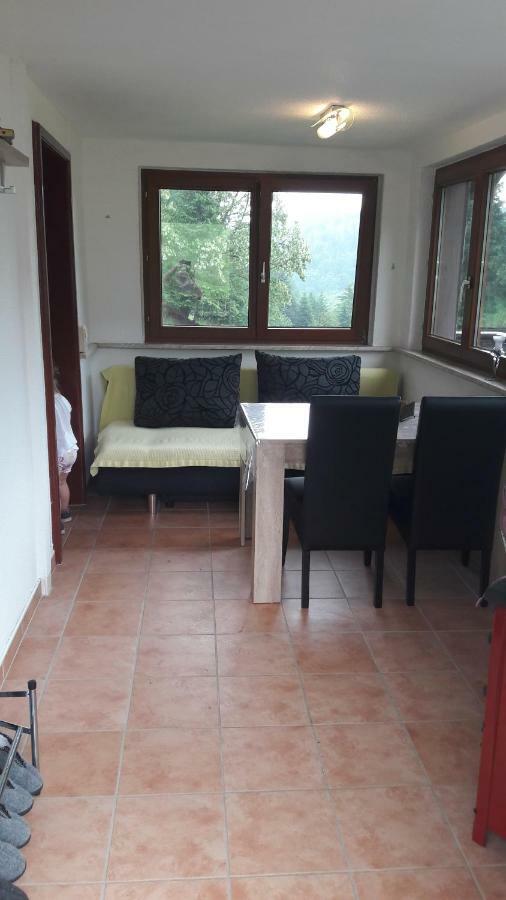 Ferienhaus Moosbachtal Thüringer Wald bei Oberhof Rotterode Exterior foto